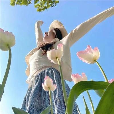 法律至上1
